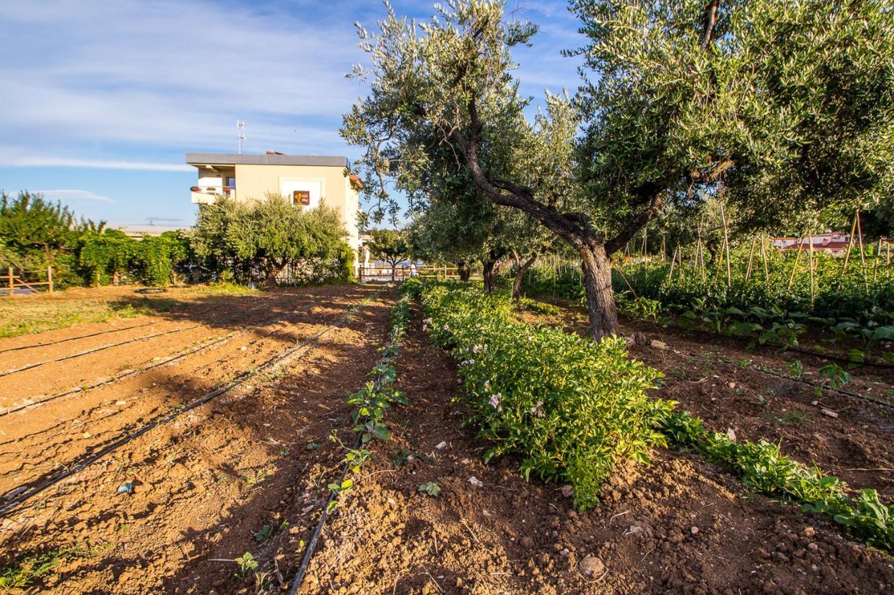 Il Gallo Con Gli Stivali Termoli Luaran gambar