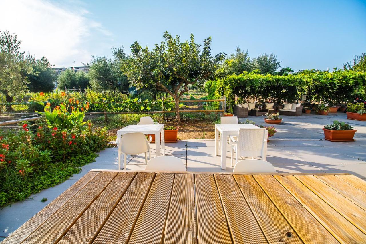 Il Gallo Con Gli Stivali Termoli Luaran gambar